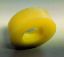 Picture of Pinch Wheel Yellow 45 Durometer No-Crush